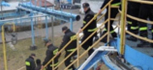 A group of blue-collar workers wearing high-visibility workwear and hard hats stand by a fence. The crew is ready for a day of labor.